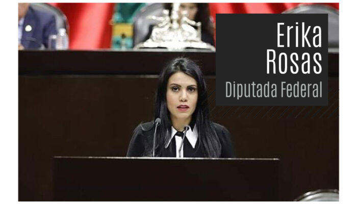 Rosas Erika