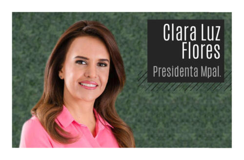 Flores Clara Luz