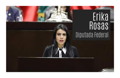 Rosas Erika